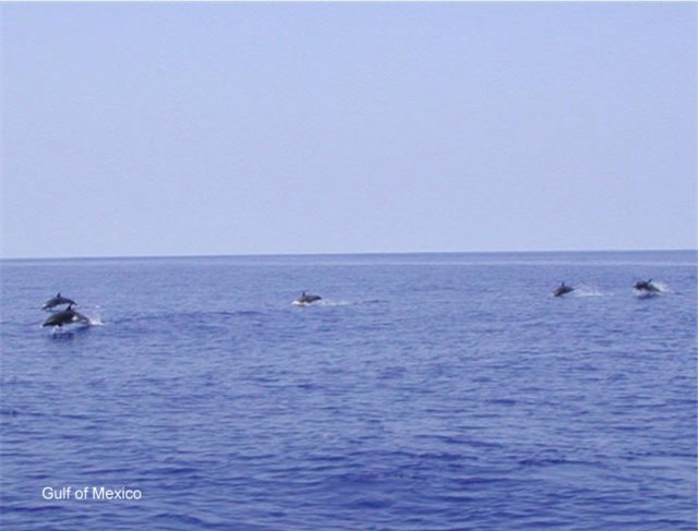 dscn8137.jpg