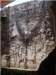 imgp0746_small.jpg