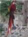 imgp0778_small.jpg