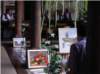 imgp1107_small.jpg