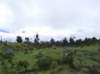 imgp1025_small.jpg