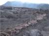 imgp1040_small.jpg