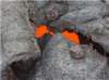 imgp1044_small.jpg