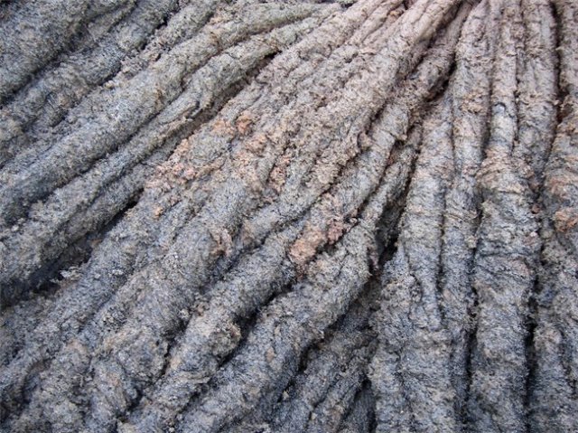 imgp1057.jpg