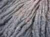 imgp1057_small.jpg