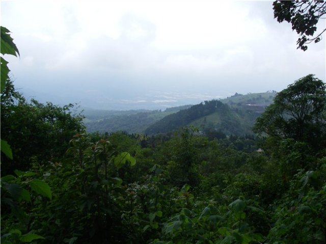 imgp1071.jpg
