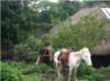 imgp1073_small.jpg