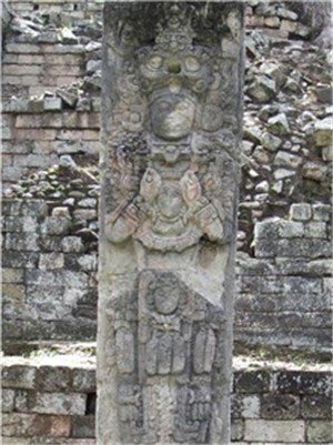 imgp1411.jpg