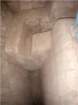 imgp1446_small.jpg