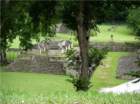 imgp1449_small.jpg