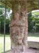 imgp1478_small.jpg