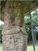 imgp1480_small.jpg