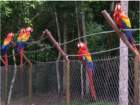 imgp1491_small.jpg