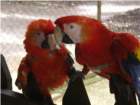imgp1497_small.jpg