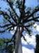 imgp1739_small.jpg