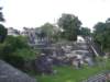 imgp1919_small.jpg