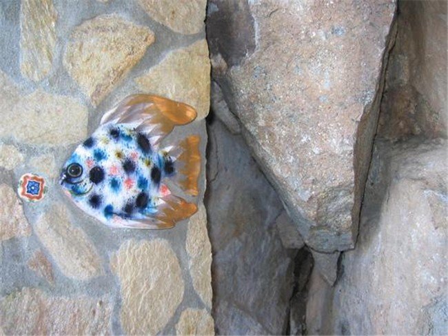 aaculaax5.jpg
