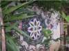 imgp2463_small.jpg
