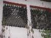 imgp2469_small.jpg