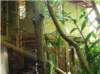 imgp2512_small.jpg