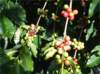 imgp2528_small.jpg