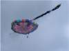 imgp2705_small.jpg