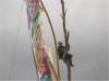 photo2_small.jpg