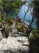 imgp2421_small.jpg