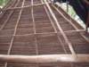 imgp1583_small.jpg