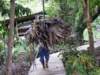 imgp1600_small.jpg