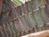 imgp1610_small.jpg