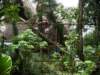 imgp1635_small.jpg