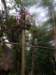 imgp1640_small.jpg