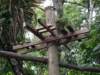 imgp1658_small.jpg