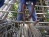 imgp2877_small.jpg