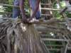 imgp2878_small.jpg