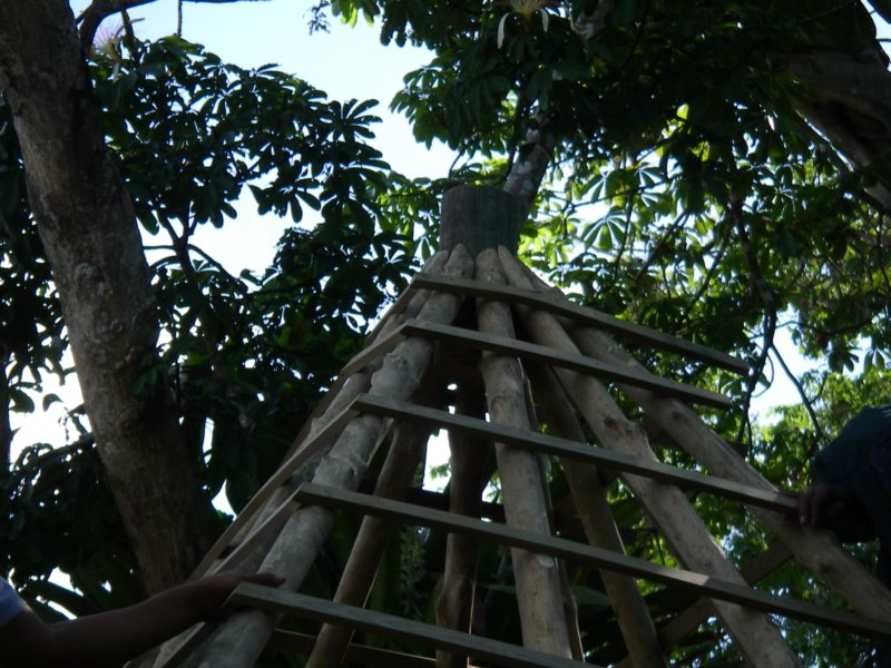 imgp2880.jpg