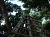 imgp2880_small.jpg