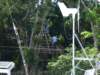 imgp2884_small.jpg