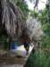 imgp2896_small.jpg