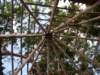 imgp2904_small.jpg
