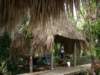 imgp2923_small.jpg