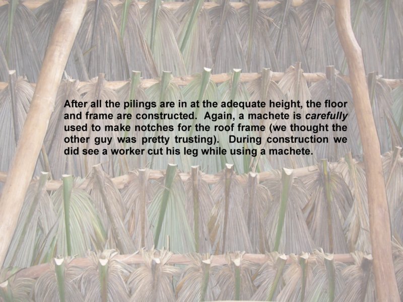 slide_3.jpg